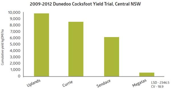 2009 2012 Dunedoo Cocksfoot Yield Trial Central NSW